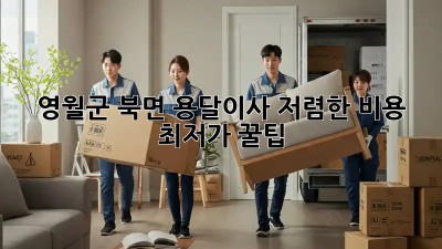 영월군 북면 용달이사 저렴한 비용 최저가 꿀팁! ✨